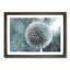 Globe Thistle - Picture Frame Graphic Art Print-56713481-56713482