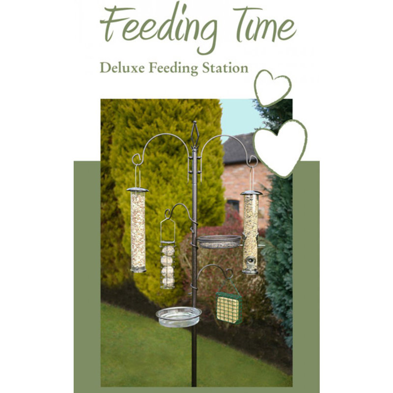 Kye Feeding Station