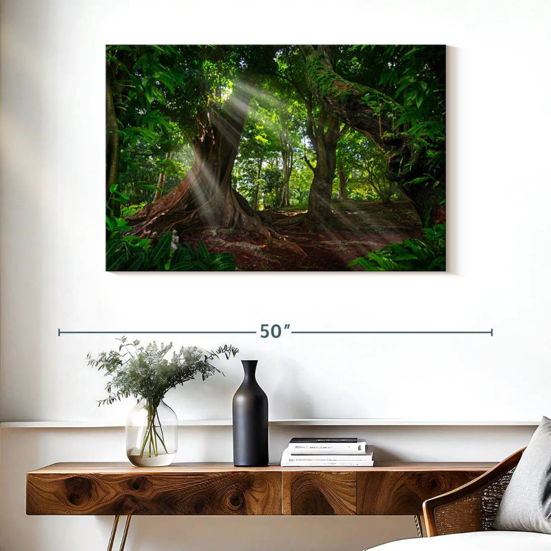 Alvord Sunlit Rainforest