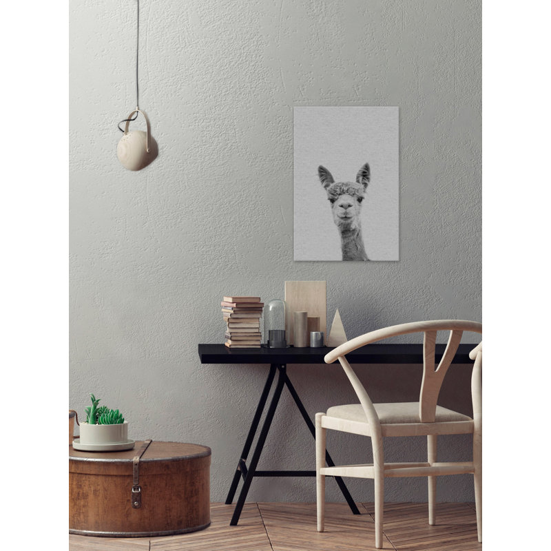 Llama Face III - Drawing on Canvas, 76cm H x 51cm W