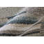 Tapis ivoire Lindauer-155623715