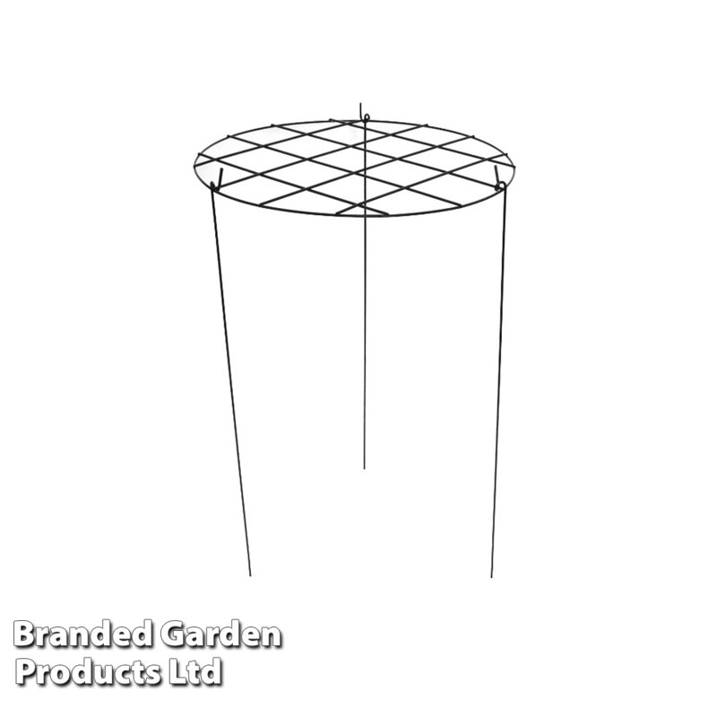 Dubin Metal Plant Support, 50cm H x 30cm W x 30cm D