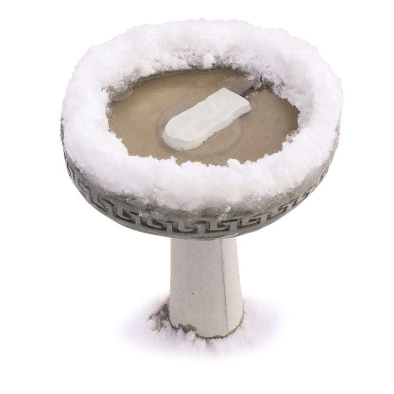 Dégivreur de bain d'oiseaux Super Ice Eliminator