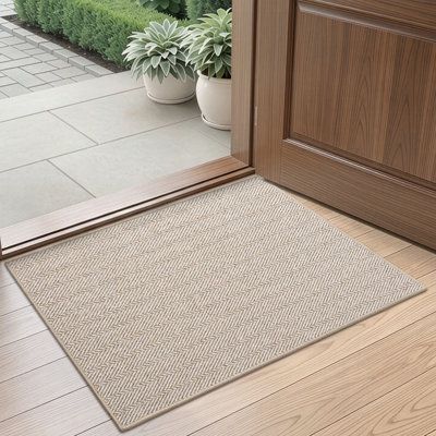Thin Non-Slip Indoor Doormat