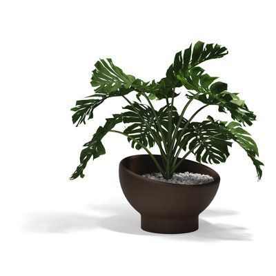 Luna Planter