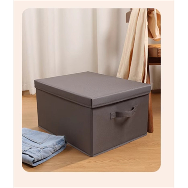 Boîte de rangement pour vêtements Latitude Run®, 38