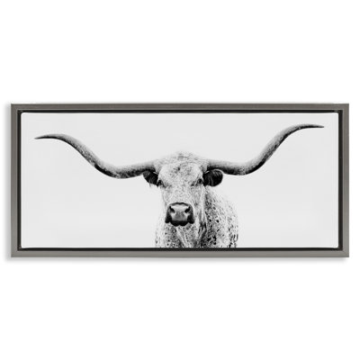 Modern Longhorn Cattle Gazing
