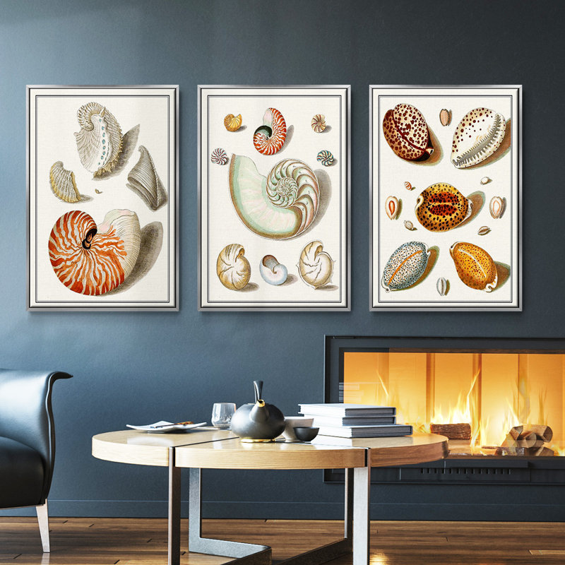 Collection Shells I - Ensemble de 3 cadres flottants sur toile, H 40 po x l 78 po, Cadre flottant argent