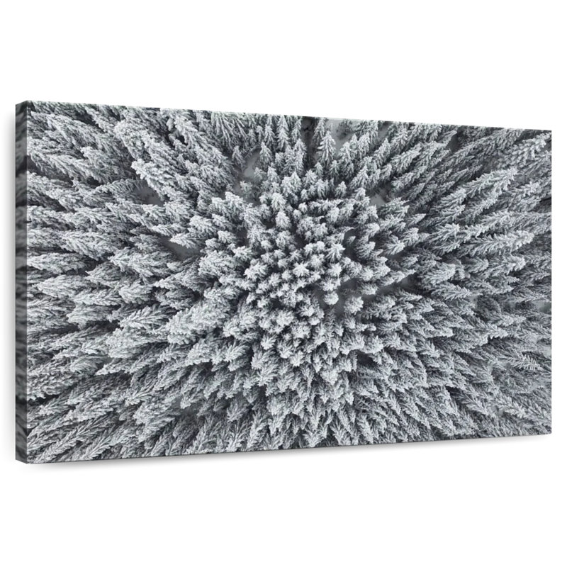 Alvord White Pine, 8" H x 12" W