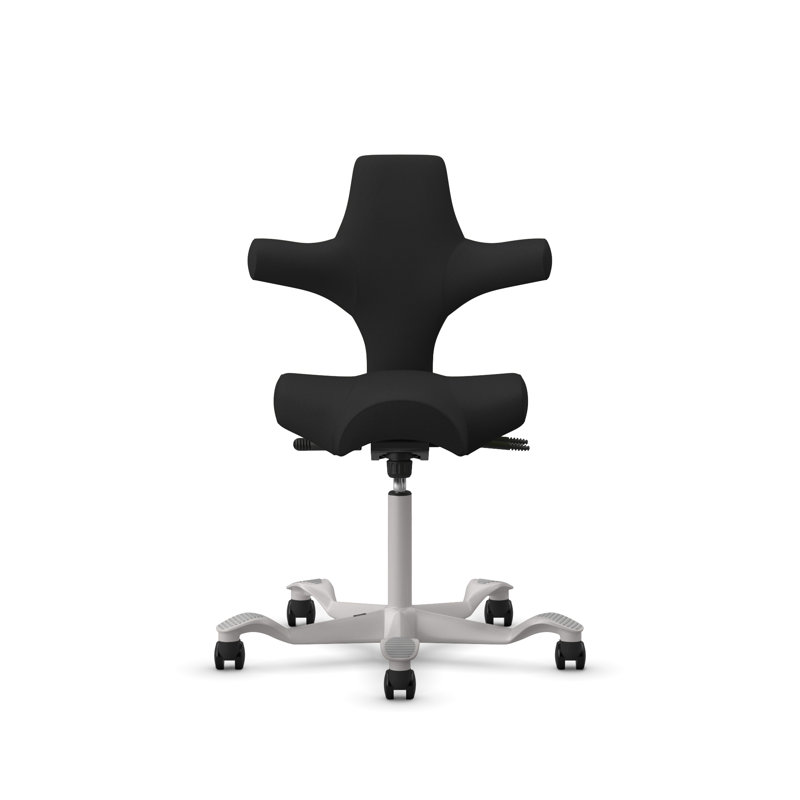 Chaise à hauteur standard réglable HœG Capisco, Argent argent, Noir, Standard