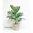 48 " H Faux Tree in Plastic Pot