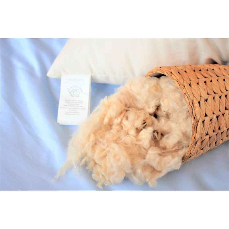 Coussin Torney, Standard