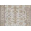 Sultanabad Wool Oriental Area Rug in Ivory