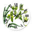 Orchidée verte - Horloge murale traditionnelle-60280950