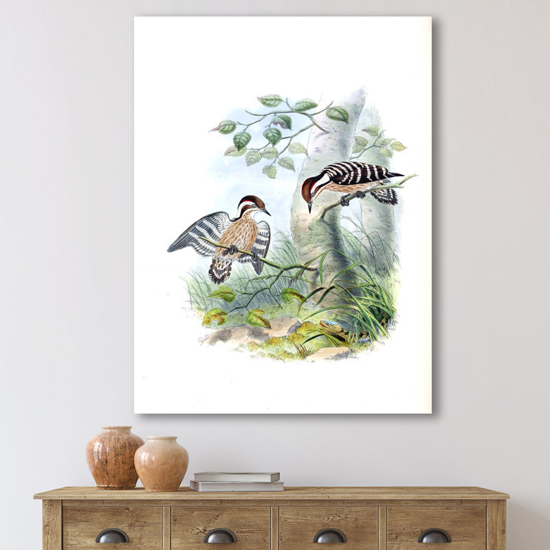 «Vintage Birds in the Wild I», impression sur toile, H 40 po x l 30 po x P 1 po, Toile tendue
