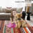 Geometric Machine Washable Rug for Living Room Bedroom Striped Non-Slip Low Pile Rubber Backing Area Rug for Playroom Office Kitchen Dining Room Dorm and Bedside Decor-1946566244