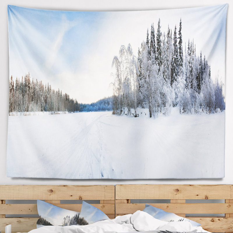 Photographie hiver champ paysage tapisserie, H 32 po x l 39 po