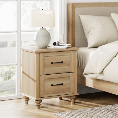 Aileas 19.6'' W Nightstand