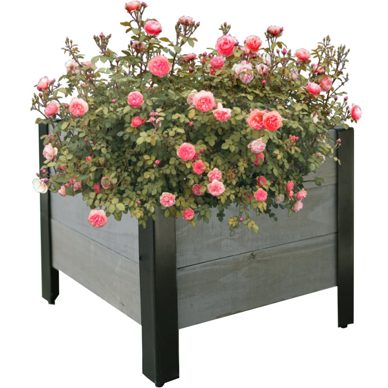 Lit de jardin surélevé Lubaba, gris