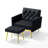 Zianny Velvet Accent Chair with Ottoman-673816100