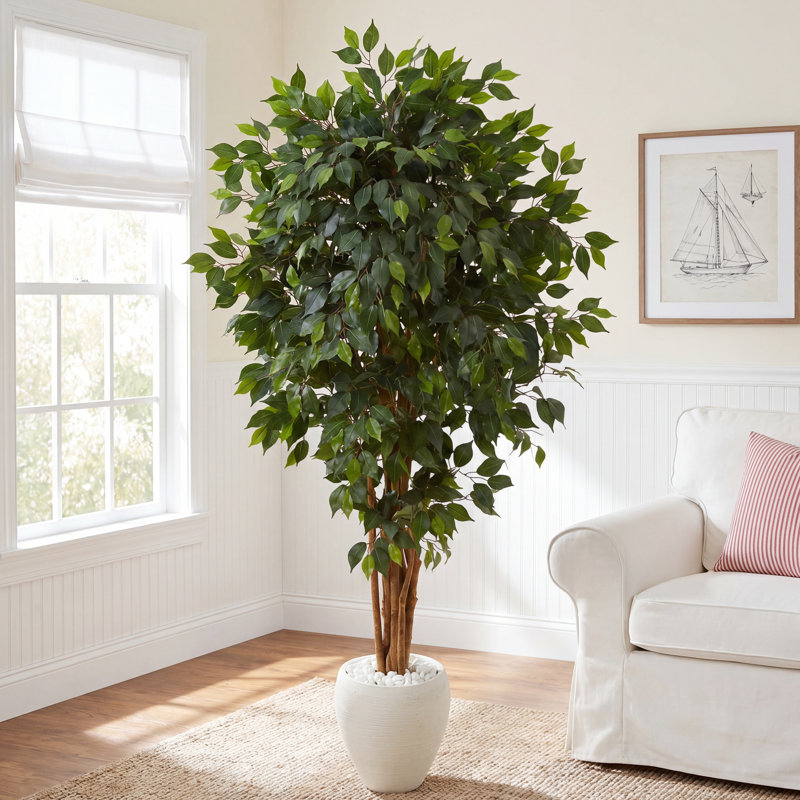 72'' Faux Ficus Tree in Ceramic Planter