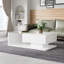Camecia Pedestal Coffee Table with Storage-2018430513-2018430512