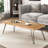 Modern Coffee Table