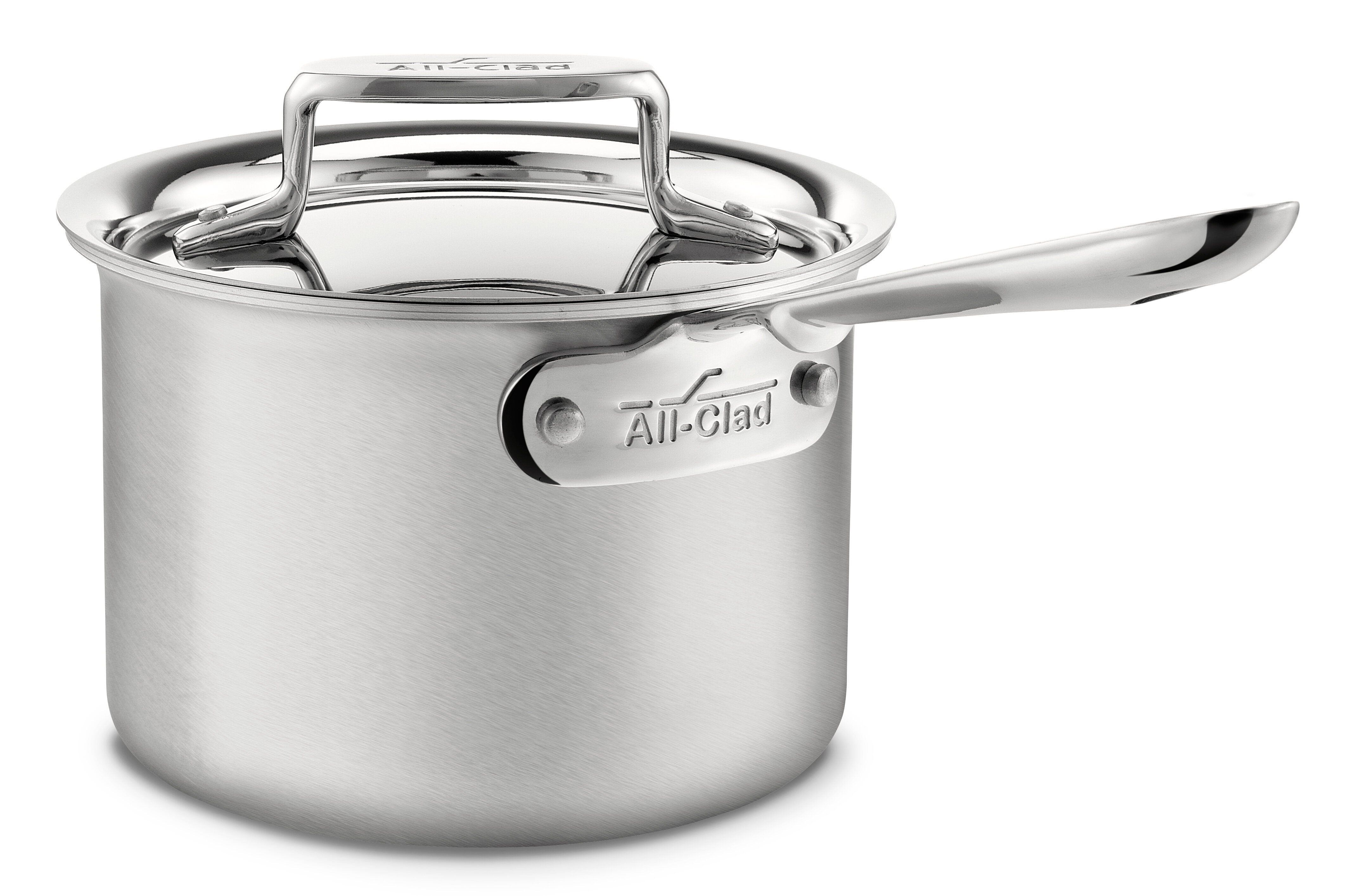 https://assets.wfcdn.com/im/43557842/compr-r85/8425/8425382/all-clad-d5-stainless-brushed-stainless-steel-saucepan-with-lid.jpg