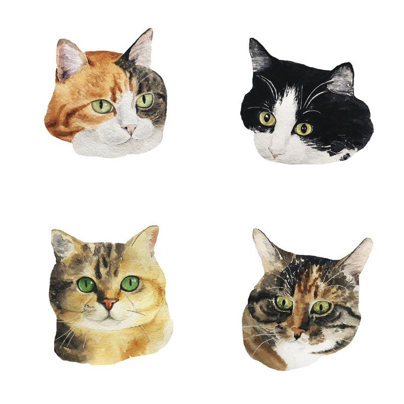 Four Cute Cats - Wrapped Canvas Print, 122cm H x 122cm W x 3.8cm D