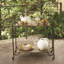 Curt Pitchers-White-Lg