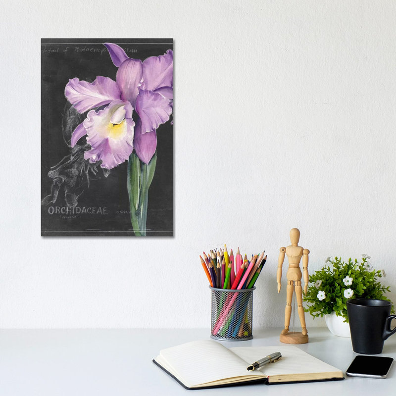 Chalkboard Flower II by Jennifer Paxton Parker - Wrapped Canvas Painting, 20.32 cm H x 30.48 cm W