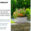 Fibreglass Plant Pot-39263427-39263428