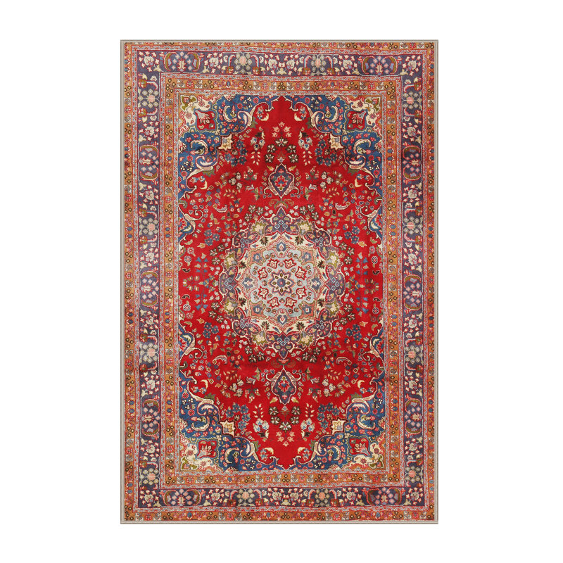 Tapis traditionnel rouge / bleu Halee, Rectangle 5 pi x 7 pi