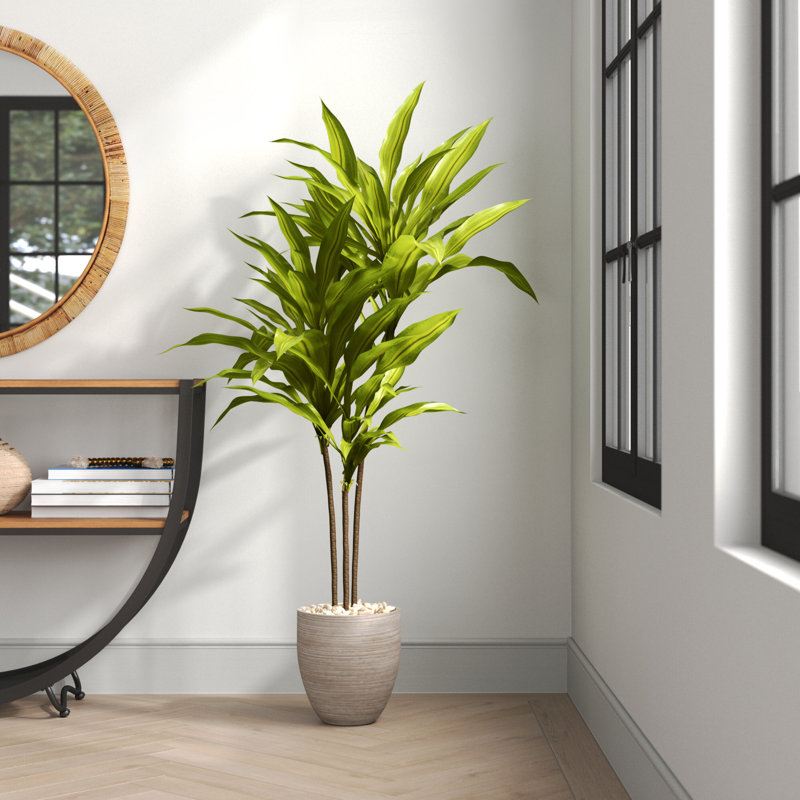 68'' Faux Dracaena Tree in Ceramic Planter