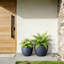 Pot à fleurs rond en béton bleu marine 14 po (intérieur amélioré) avec trous de drainage-641955528-641955529