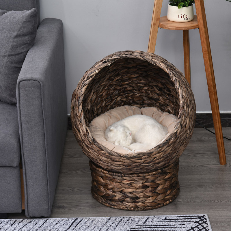 Lit surélevé pour chat, coussin moelleux, panier, fauteuil à œufs, H 23,5 po, chaise à coussins surélevés gris