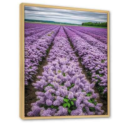 Vaste paysage de lilas en fleurs mauves sur toile