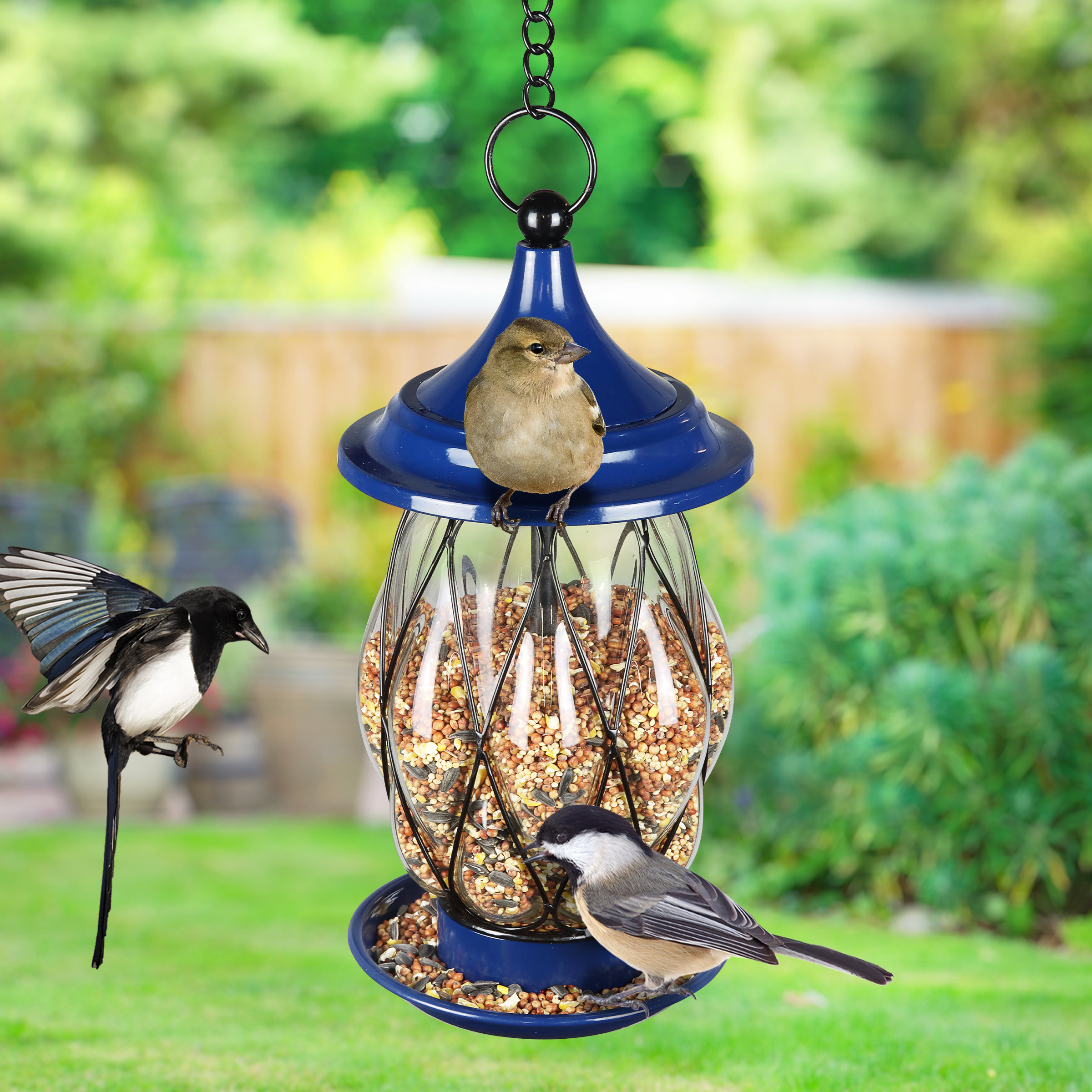 exhart-wire-bird-feeder-6-5-by-13-5-inches-reviews-wayfair