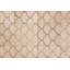 Luneta Cowhide Area Rug in Brown