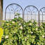 Ensemble de 4 treillis de jardin en métal antirouille 86,7 po x 19,7 po