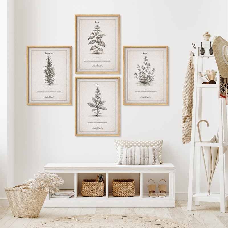 Botanical Herb, ensemble de 4 reproductions d'art encadrées - salon, cuisine, salle à manger, bureau, H 14 po x l 11 po