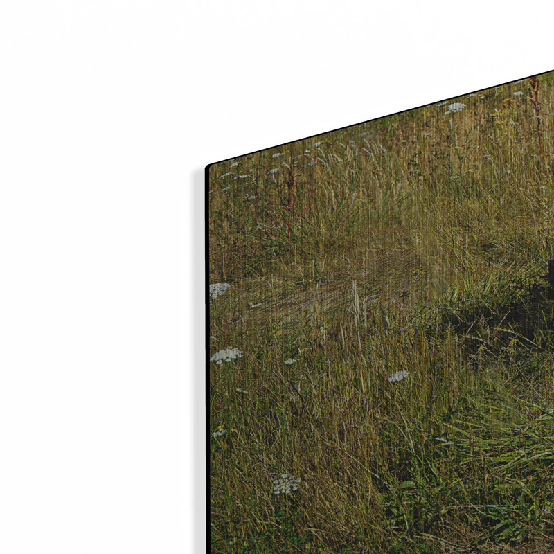  'Forgotten Bench' by Dante Plata Metal Wall Art, 24" x 12", 12" H x 24" W