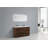 Chelsei 59'' Double Bathroom Vanity with Plastic Top-995120381