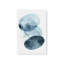 Ensemble de 2 brumes de topaze bleue-163002200-163002206