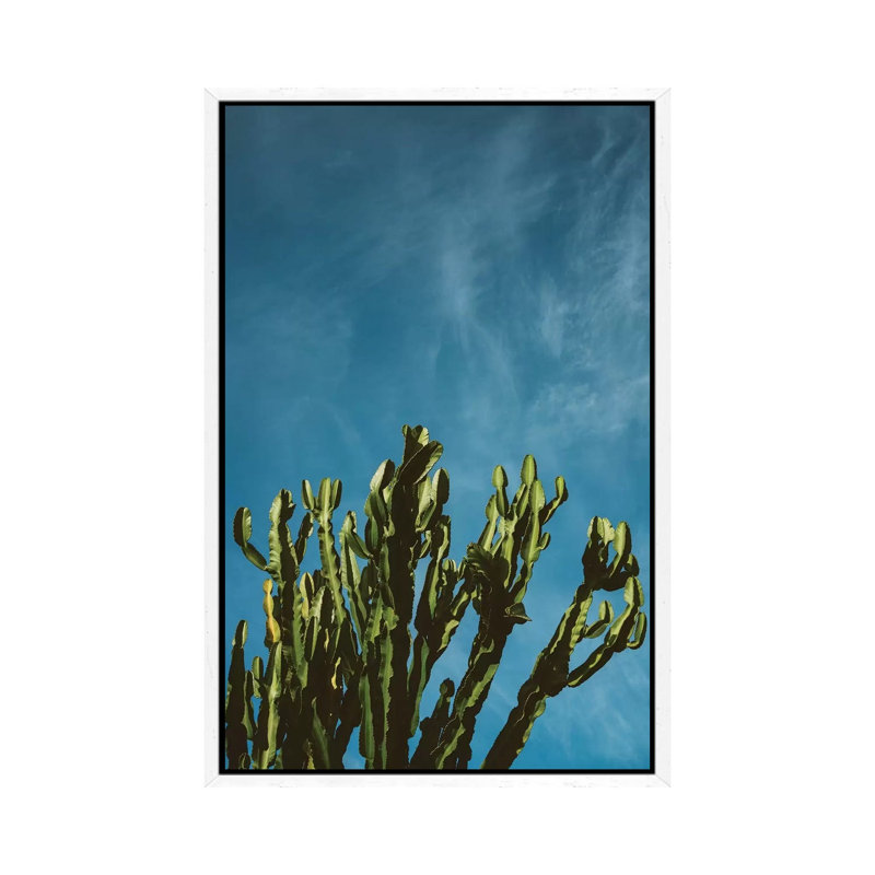 Cactus Sky by Bethany Young - Print on Canvas, White Framed, 66.04cm H x 45.72cm W x 3.81cm D