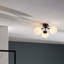 Haslett Glass Spotlight