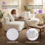 Canapé Cloud Effortless - Luxe zéro assemblage pour des espaces de vie confortables-419022975
