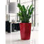 Cubico Planter Box-1342088421-1342088426