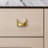 Redefine Hardware Brasilia Brass Modern Pull (2 Pack)