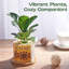 Caludia Ceramic Pot Planter
